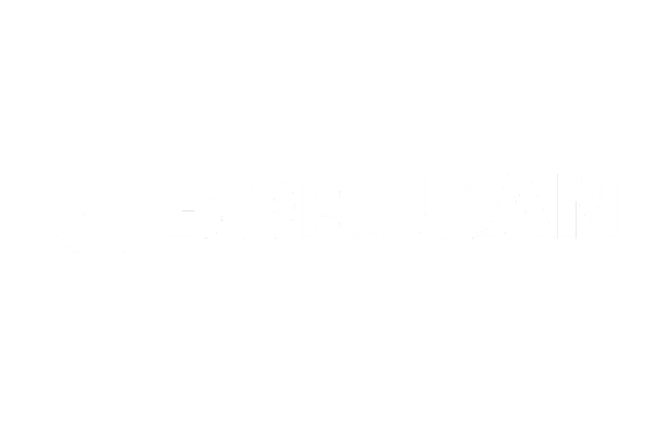 borusan