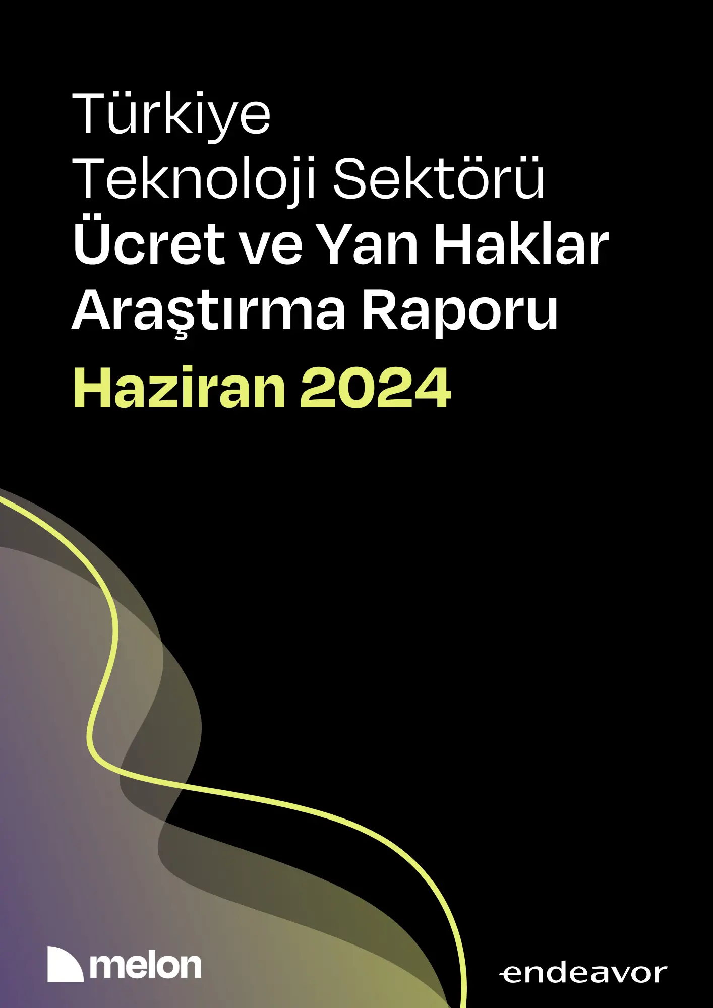Türkiye Teknoloji Sektörü Ücret ve Yan Haklar Araştırma Raporu Haziran 2024