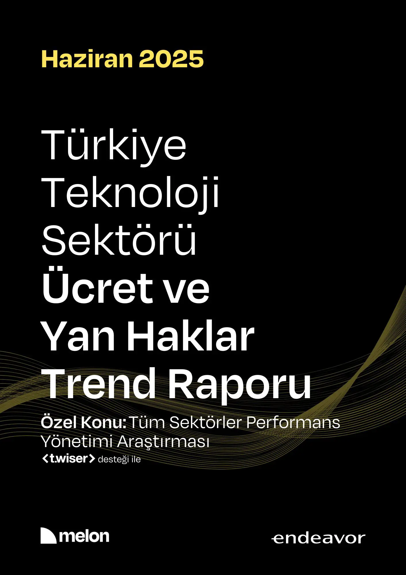 2025 Haziran Melon & Endeavor Türkiye - Türkiye Teknoloji Sektörü Ücret ve Yan Haklar Araştırma Raporu