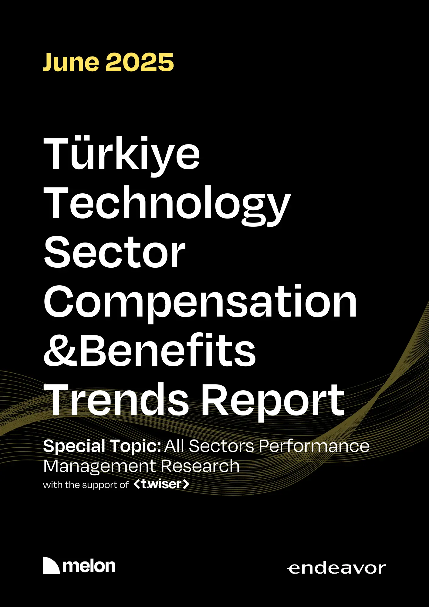 2025 June Melon & Endeavor Türkiye - Turkey Technology Sector Compensation and Benefits Trends Report