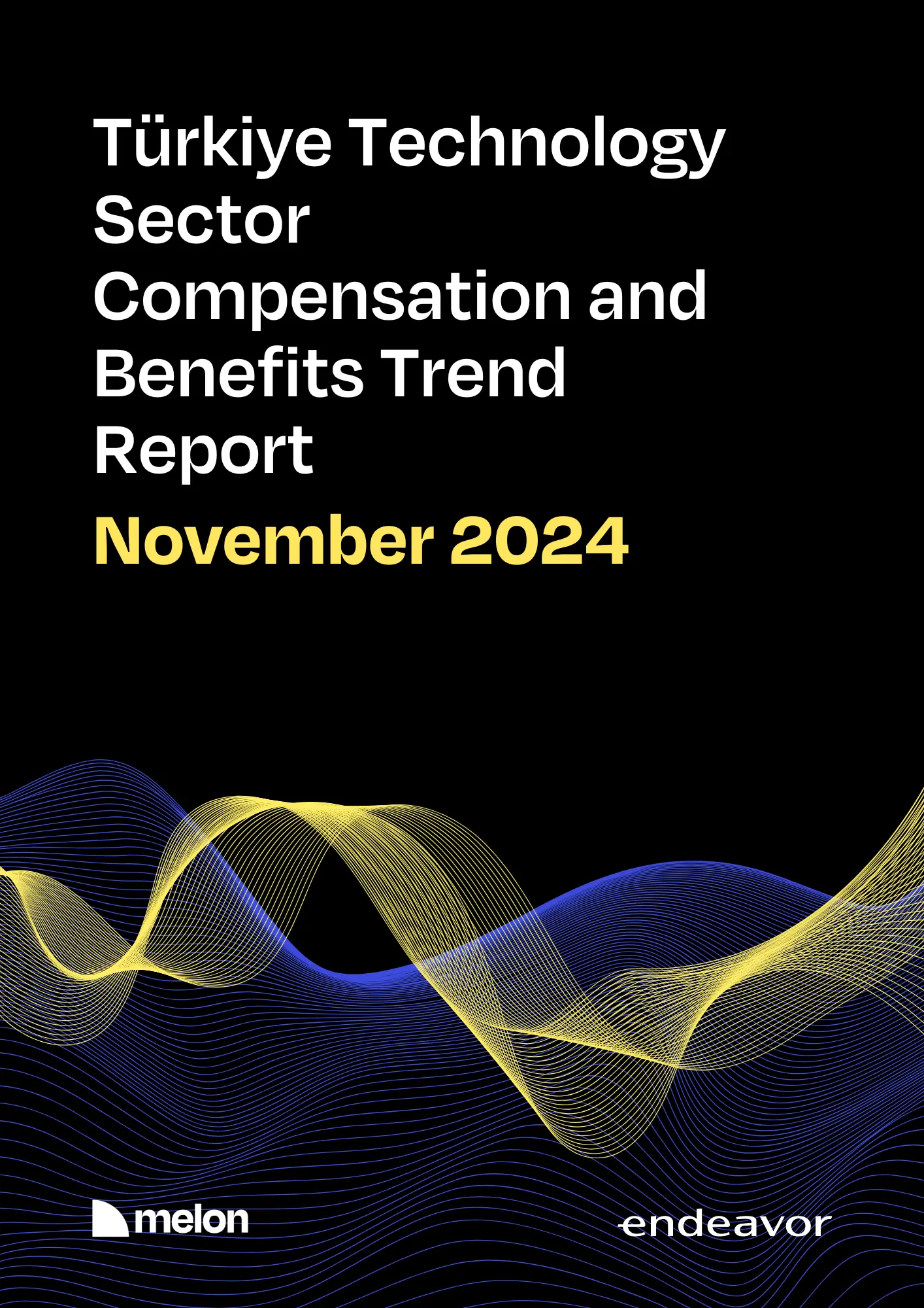 Melon & Endeavor Türkiye - Türkiye Technology Sector Compensation and Benefits Trends Report - November 2024