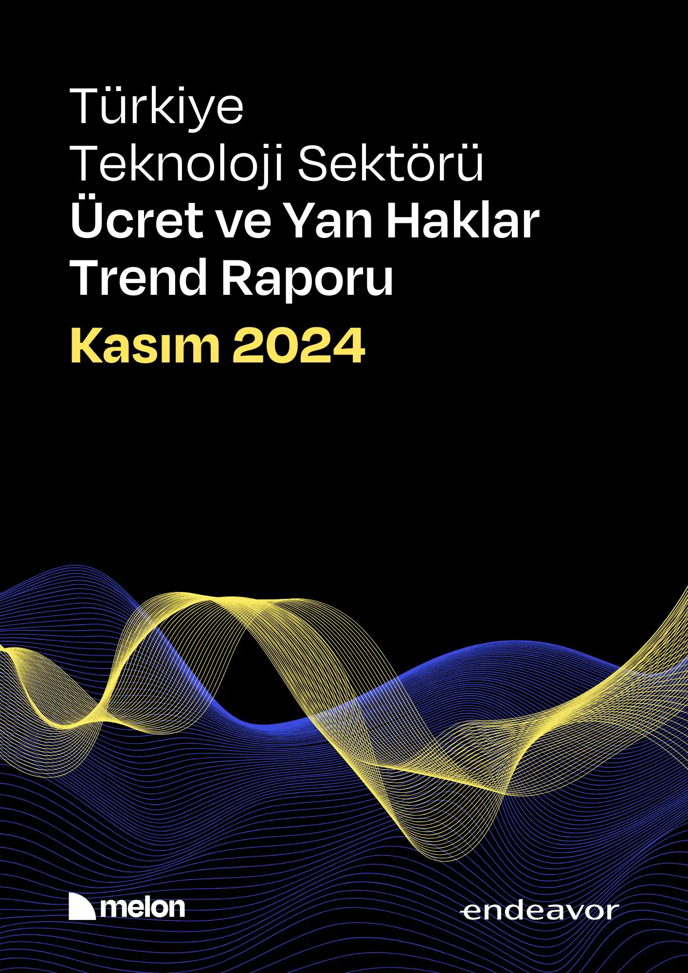 Melon & Endeavor Türkiye -  Türkiye Teknoloji Sektörü Ücret ve Yan Haklar Araştırma Raporu - Kasım 2024